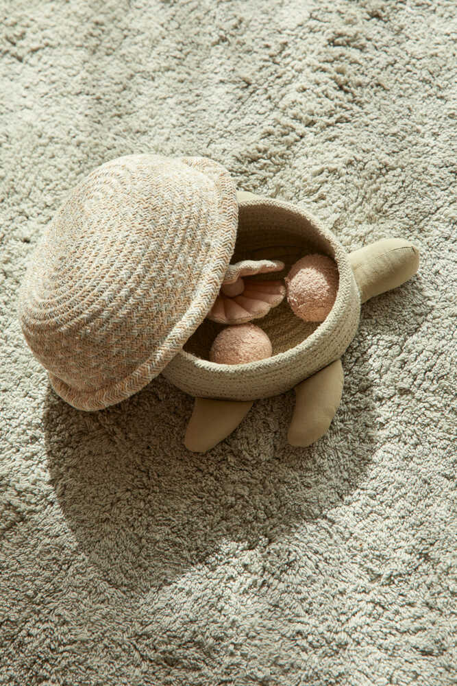Basket Baby Turtle - Image 2