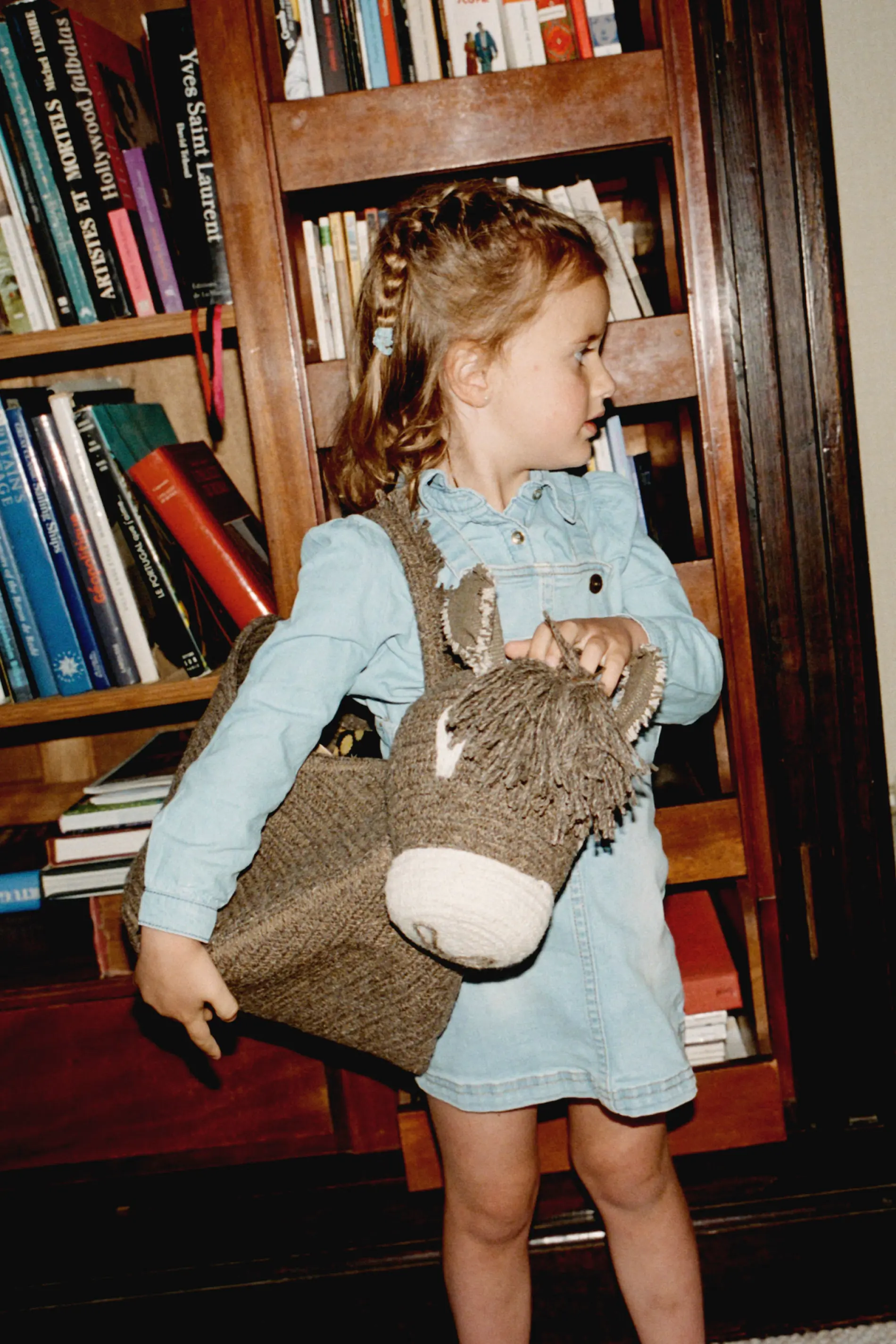 HECTOR THE DONKEY BASKET - Image 5