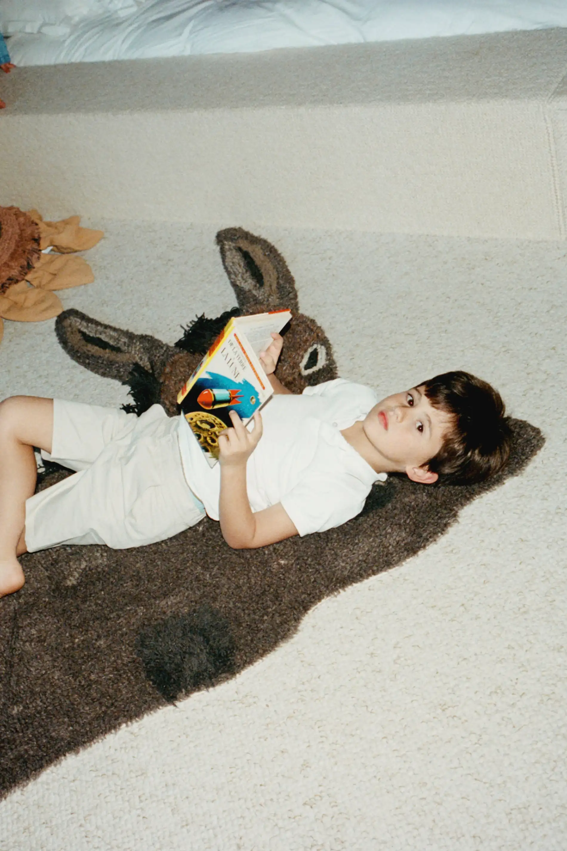 HECTOR THE DONKEY RUG - Image 4