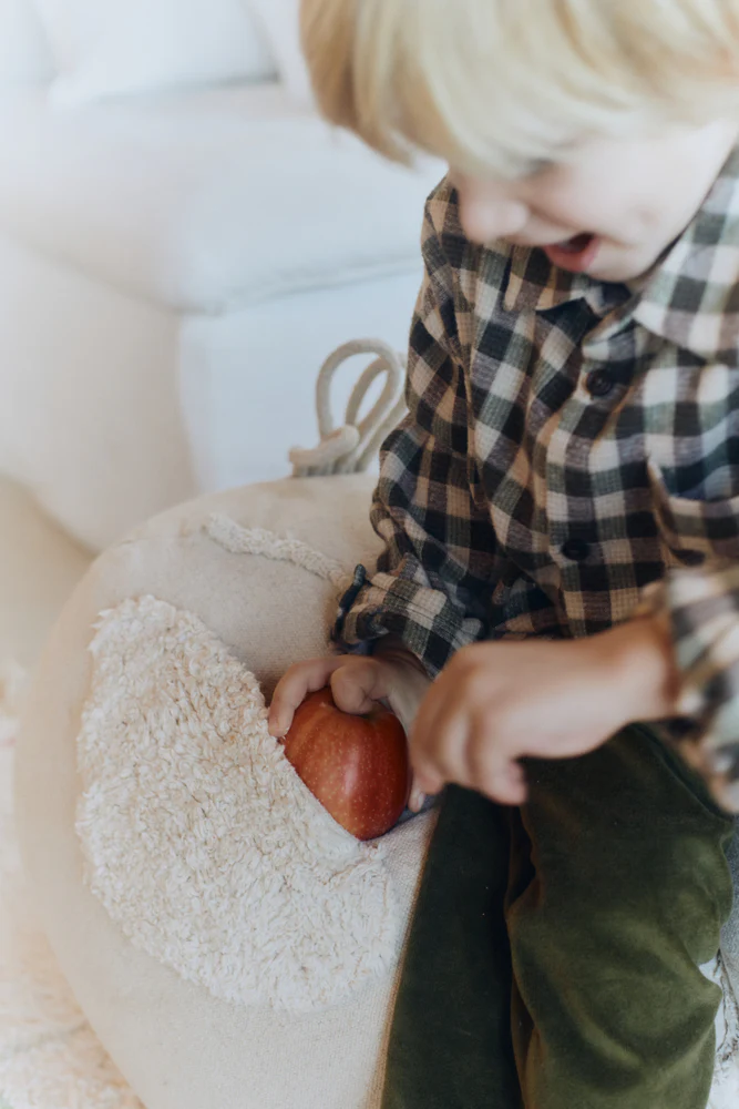 Pouf Chicken - Image 6