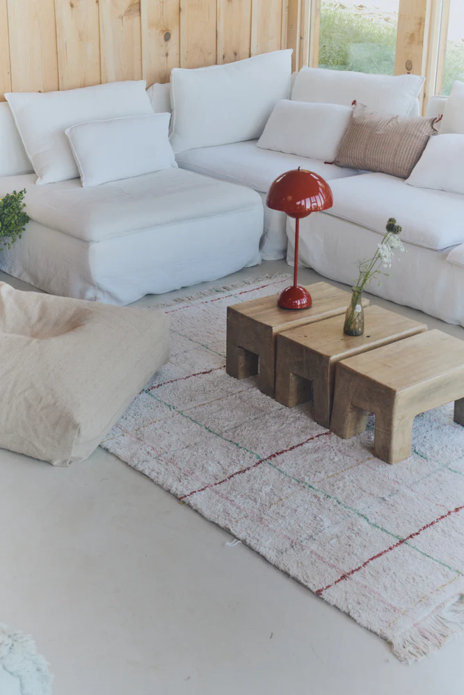 WASHABLE RUG COLOR LINES - Image 5